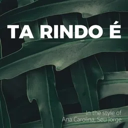 Omslagsbild för Ta Rindo É - Ana Carolina,Seu Jorge karaokeversion