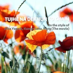 Cover art for Tujhe Na Dekhun To Chain - Alka Yagnik,Kumar Sanu,Rang (The Movie) karaoke version