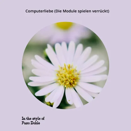 Karaoke Computerliebe (Die Module spielen verrückt) by Paso Doble — sing along with lyrics on Singa