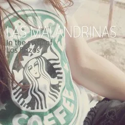 Cover art for Las Malandrinas - Los Razos karaoke version