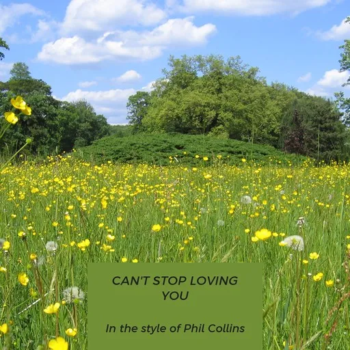 Karaoke Can't Stop Loving You av Phil Collins — sjung med på texten på Singa
