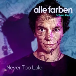 Omslagsbild för Never Too Late - Alle Farben,Sam Gray karaokeversion