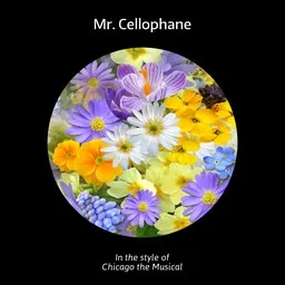 Cover art for Mr. Cellophane - Chicago the Musical karaoke version