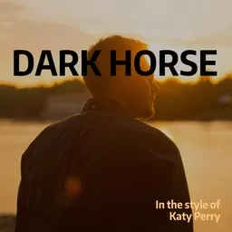 Omslagsbild för Dark Horse - Katy Perry karaokeversion