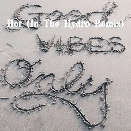 Cover art for Hot (In The Hydro Remix) - Inna karaoke version