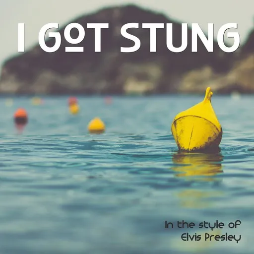I Got Stung - Karaoke