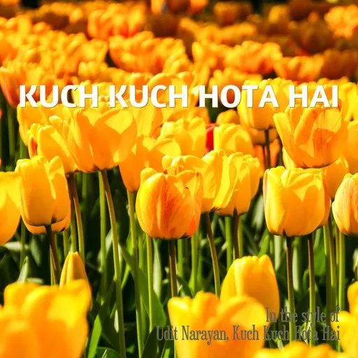Kuch Kuch Hota Hai - Karaoke