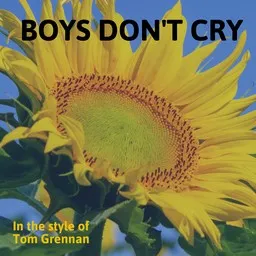 Titelbild für Boys Don't Cry - Tom Grennan Karaoke-Version
