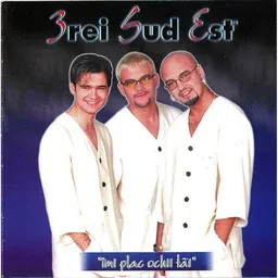 Cover art for Vreau Să Te Uit - 3rei Sud Est karaoke version