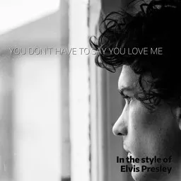 Cover art for You Don't Have to Say You Love Me - Elvis Presley karaoke version