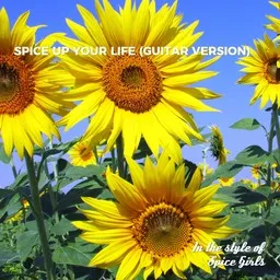 Karaokekappaleen Spice Up Your Life (Guitar Version) - Spice Girls kansikuva
