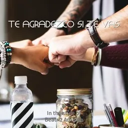 Cover art for Te Agradezco Si Te Vas - Beatriz Adriana karaoke version