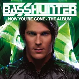 Omslagsbild för Now You're Gone - Basshunter,DJ Mental Theo's Bazzheadz karaokeversion