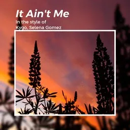 Titelbild für It Ain't Me - Kygo,Selena Gomez Karaoke-Version