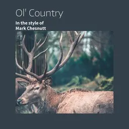 Titelbild für Ol' Country - Mark Chesnutt Karaoke-Version