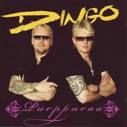 Cover art for Kaikki kaunis katoaa - Dingo karaoke version