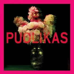 Cover art for Puolikas - Lauri Tähkä karaoke version