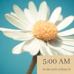 Cover art for 5:00 Am - Katy B karaoke version