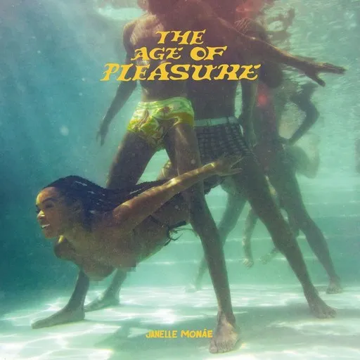 Karaoke Float by Egypt 80, Janelle Monáe, Seun Kuti — sing along with lyrics on Singa