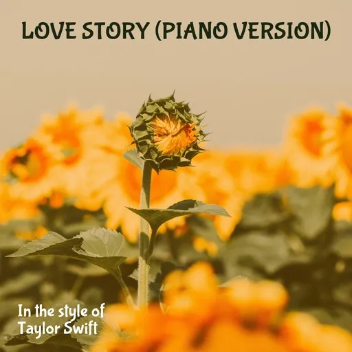 Love Story (Piano Version) - Karaoke