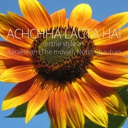 Cover art for Achchha Lagta Hai - Aarakshan (The Movie),Mohit Chauhan karaoke version