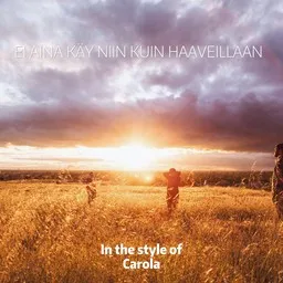 Cover art for Ei aina käy niin kuin haaveillaan - Carola (FIN) karaoke version