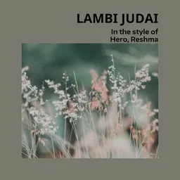 Cover art for Lambi Judai - Hero,Reshma karaoke version