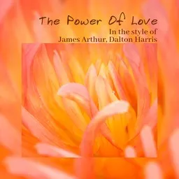 Omslagsbild för The Power Of Love - Dalton Harris,James Arthur karaokeversion