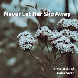 Cover art for Never Let Her Slip Away - Undercover karaoke version
