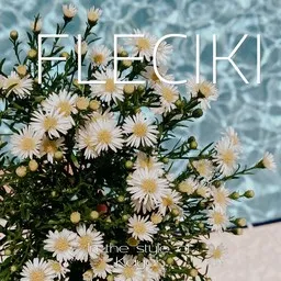 Cover art for Fleciki - Kayah karaoke version