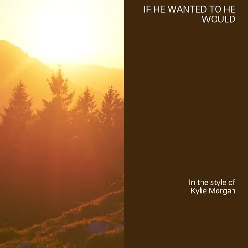 Karaoke If He Wanted To He Would by Kylie Morgan — sing along with lyrics on Singa