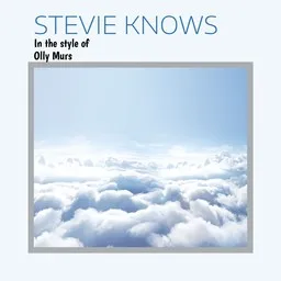 Karaokekappaleen Stevie Knows - Olly Murs kansikuva