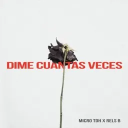 Cover art for Dime Cuantas Veces - Micro Tdh,Rels B karaoke version