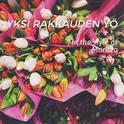 Cover art for Yksi rakkauden yö - Maritza karaoke version