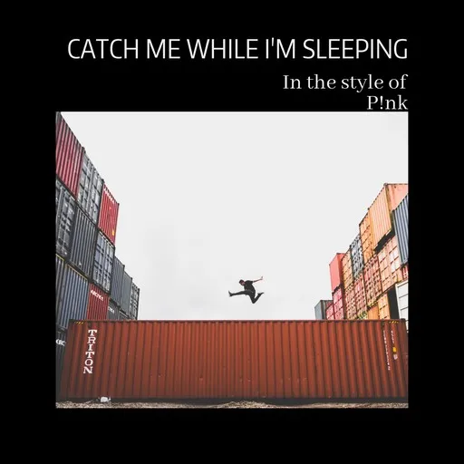 Catch Me While I'm Sleeping - Karaoke