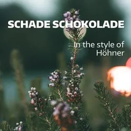 Cover art for Schade Schokolade - Höhner karaoke version