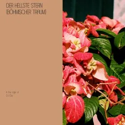 Cover art for Der hellste Stern (Böhmischer Traum) - DJ Ötzi karaoke version