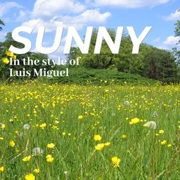 Cover art for Sunny - Luis Miguel karaoke version