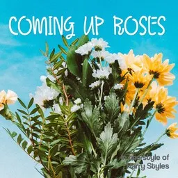 Omslagsbild för Coming Up Roses - Harry Styles karaokeversion