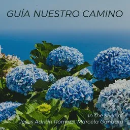 Cover art for Guía Nuestro Camino - Jesus Adrian Romero,Marcela Gandara karaoke version