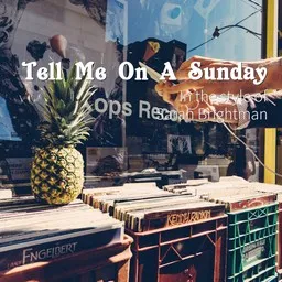 Cover art for Tell Me On A Sunday - Sarah Brightman karaoke version