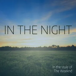 Karaokekappaleen In The Night - The Weeknd kansikuva