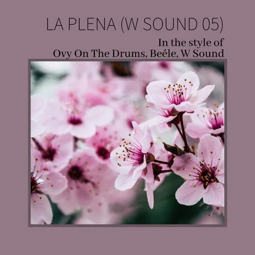 Karaoke La Plena by Beéle, Ovy On The Drums, W Sound — sing along with lyrics on Singa