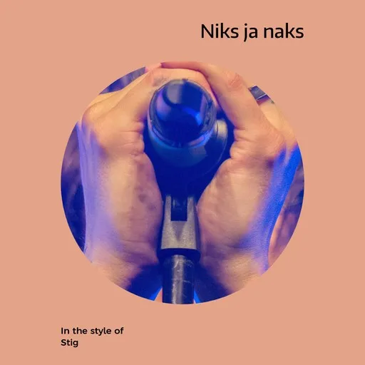 Karaoke Niks ja naks by Stig — sing along with lyrics on Singa