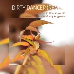 Cover art for Dirty Dancer (Remix) - Enrique Iglesias,Lil Wayne,Usher karaoke version