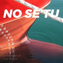 Cover art for No Se Tu - Luis Miguel karaoke version