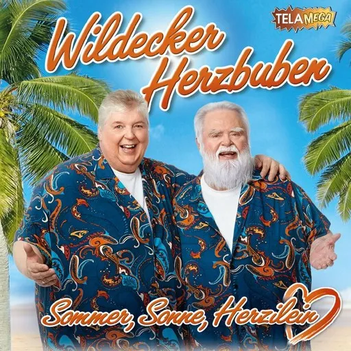 Karaoke Herzilein by Die Wildecker Herzbuben — sing along with lyrics on Singa