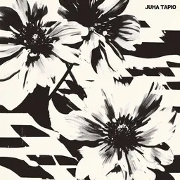 Cover art for Kelpaat kelle vaan - Juha Tapio karaoke version