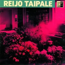 Titelbild für Ei aika mennyt koskaan palaa - Reijo Taipale Karaoke-Version