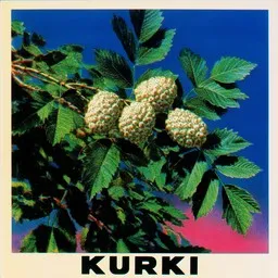 Cover art for Kurki - Kai Hyttinen karaoke version